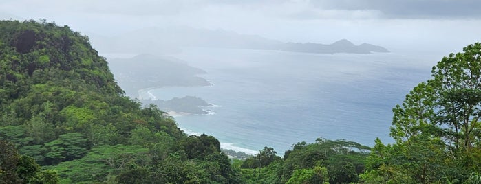 Tea Factory is one of Seychelles.