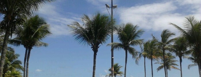 Restaurante Paraíso is one of สถานที่ที่ Luis ถูกใจ.