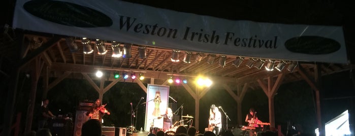 Weston Irish Fest is one of Groovy places..