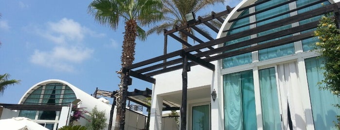 Warwick  Beach Resort & Spa is one of Locais curtidos por Sherouk.
