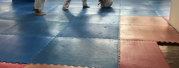 Dogukan Dojo Aikido Spor Kulubu is one of Gurkan'ın Beğendiği Mekanlar.