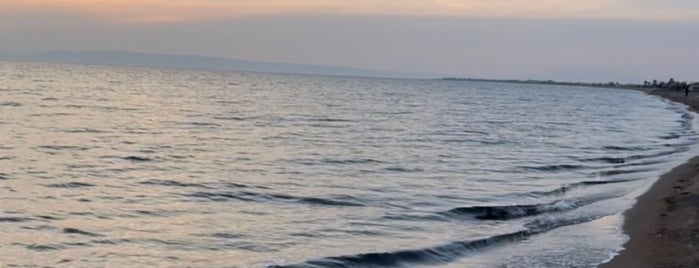 Salihleralt|ı plajı is one of Dikili.