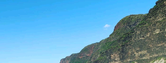 Polihale State Park is one of สถานที่ที่ Dan ถูกใจ.