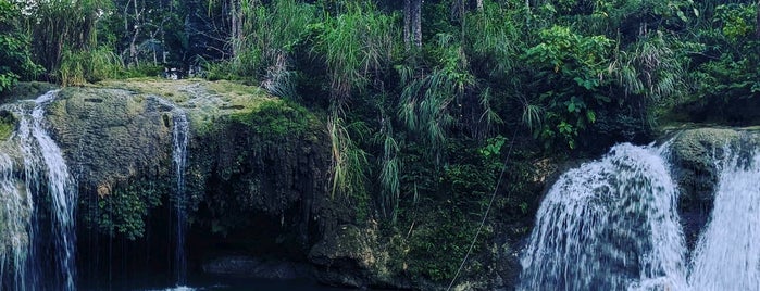 Pangas Falls is one of Bohol.