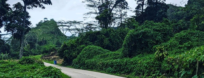 Barangay Mantalongon is one of สถานที่ที่ Danny ถูกใจ.