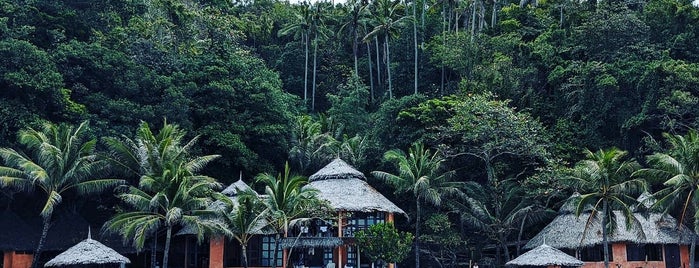 Apo Island Beach Resort is one of Филлипины.