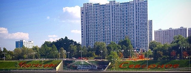 Малый Чертановский пруд is one of Tempat yang Disukai Tema.