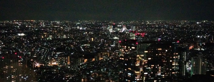 Tokyo Metropolitan Government Building is one of Lugares favoritos de Fraser.