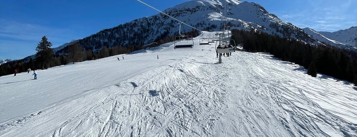 Magnolta Ski Area is one of snowboarding in aprica.