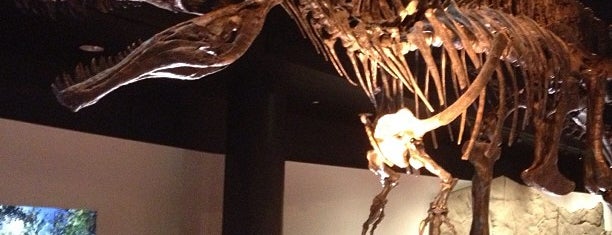 Houston Museum of Natural Science is one of Houston's Best Museums - 2013.
