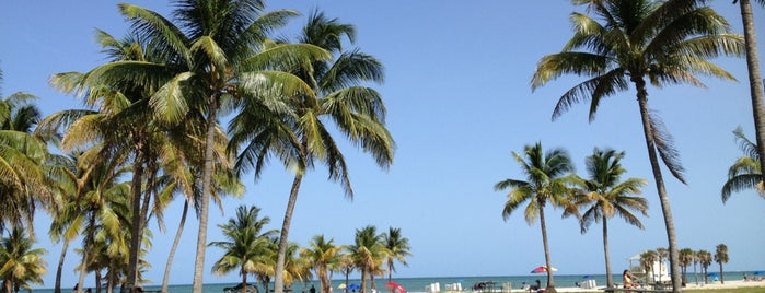Crandon Park Beach is one of Welcome to Miami 🎶.