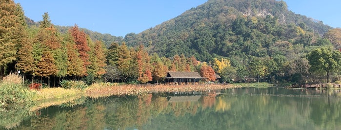 玉皇山 is one of Tempat yang Disukai Jingyuan.