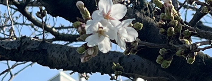 新河岸川 いろは親水公園 is one of 志木巡り.