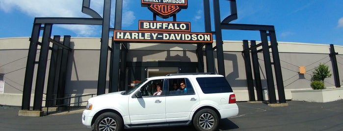 Buffalo Harley-Davidson is one of Harley-Davidson places.