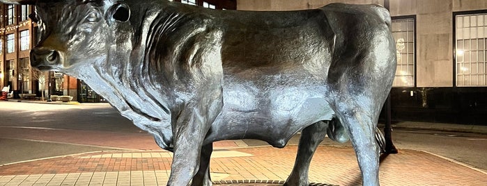 Durham City Bull Statue is one of Raleigh, NC.