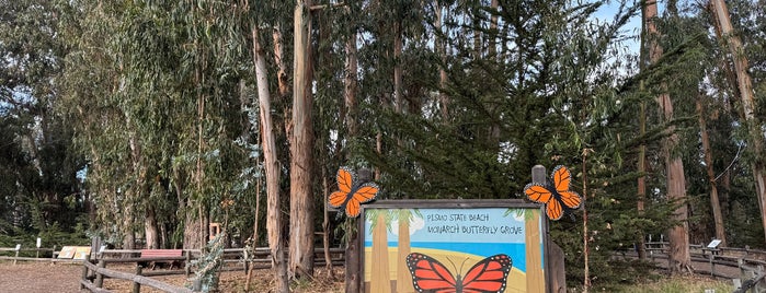 Monarch Butterfly Grove is one of SLO County Top Spots.