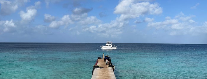 Go West Diving is one of Curacao.