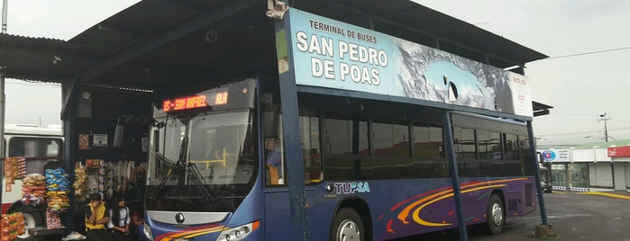 Terminal de Buses TUPSA is one of Paradas de buses.