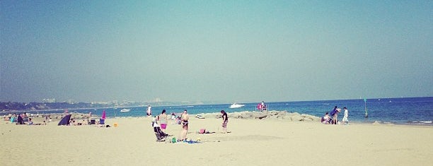 Shore Road Beach is one of Henryさんのお気に入りスポット.
