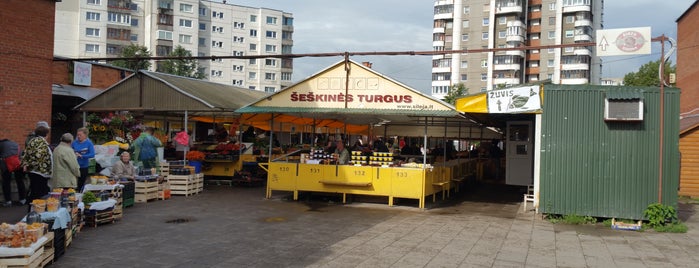 Šeškinės turgus is one of Vilnus.