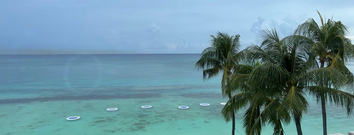 Grand Cayman Marriott Beach - pool is one of Carribean blue.