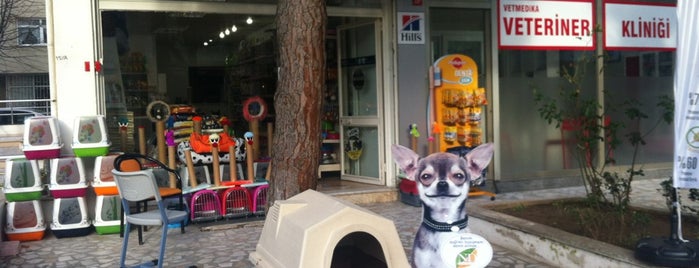 Pati34 is one of İstanbul'daki - Pet Shoplar.