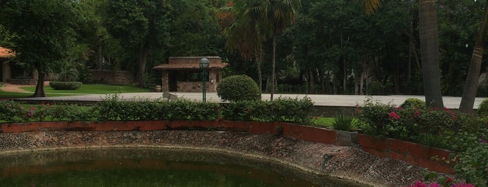 Jardin Hotel Hacienda Visahermosa is one of Locais curtidos por Manolo.