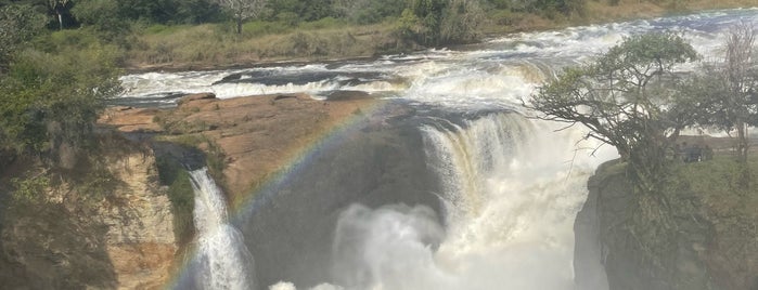 Murchison Falls National Park is one of Orte, die Anton gefallen.