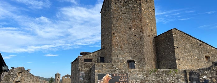 Castillo de Ainsa is one of Near Boltaña.