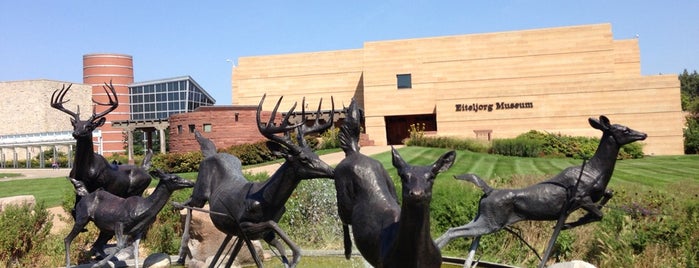 Eiteljorg Museum of American Indians & Western Art is one of Indy Museums.
