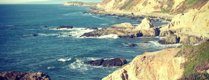 Bodega Head is one of To Do: Great Outdoors.