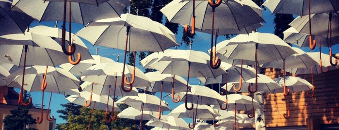Umbrella is one of Sofia.
