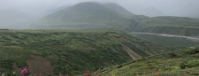 Eielson Visitor Center is one of Aptravelerさんのお気に入りスポット.