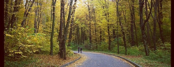 Парк «Феофания» is one of Must visit in Goloseevo.