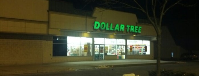Dollar Tree is one of สถานที่ที่ Christina ถูกใจ.