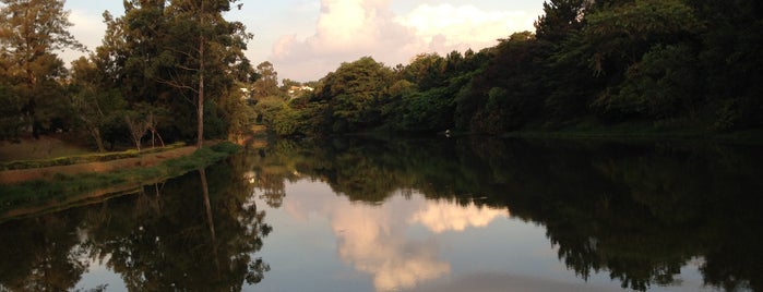 Região do Lago - Residencial Alphaville 2 is one of Barueri Conhecer.