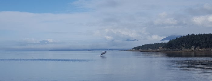 St Peter Whale Watching Boat is one of Orte, die Debbie gefallen.