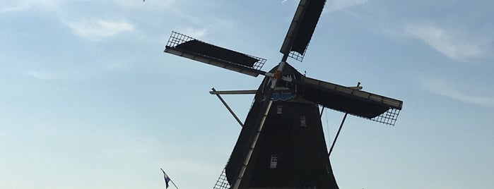 Molen De Zwaluw is one of I love Windmills.