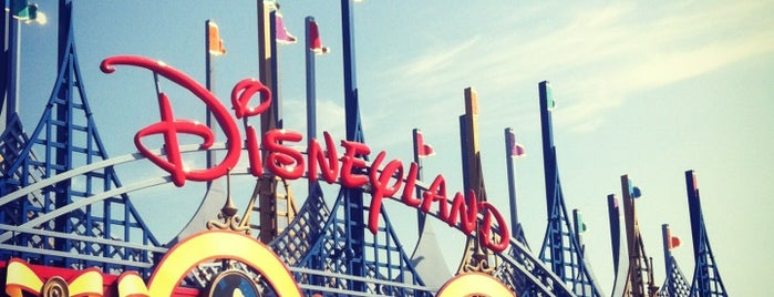 Disneyland Paris is one of Amusement Parks.