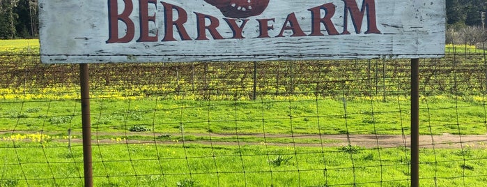 Swanton Berry Farm, U-Pick Coastways Ranch is one of Lugares favoritos de Ashok.