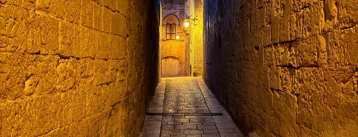 Mdina Gate is one of VISITAR Malta.