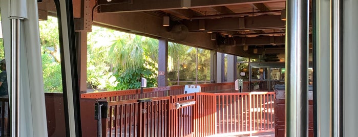 Polynesian Village Monorail Station is one of Disney World Vacation.