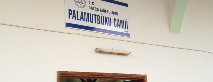 Palamutbuku Camii is one of สถานที่ที่ Ahmet ถูกใจ.