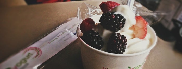 Yummy yogurt is one of Food of the world.