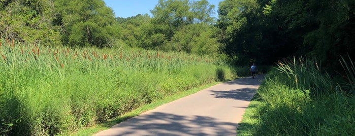 Four Mile Creek Greenway (Rea Rd. end) is one of My Stomping Grounds.