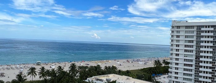 The Ritz-Carlton, South Beach is one of Welcome to Miami.