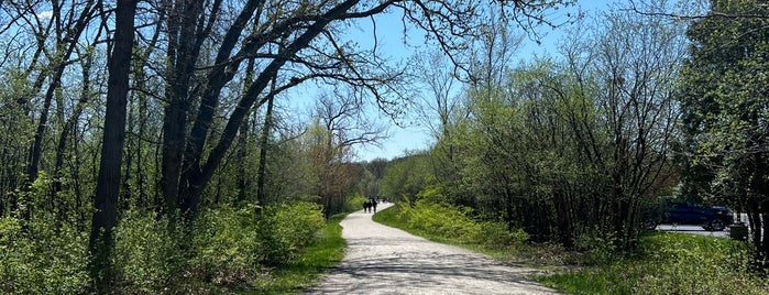 Waterfall Glen Forest Preserve is one of Chicagoland Trail Running.