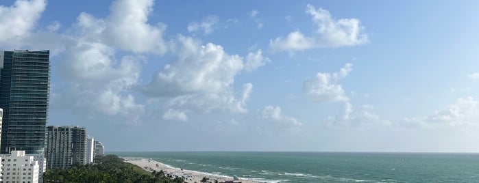 The Ritz-Carlton, South Beach is one of Leandro's Saved Places.