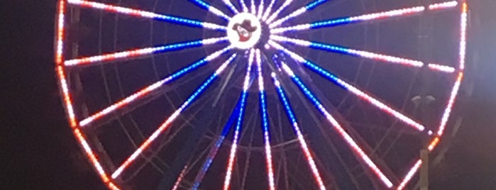 Ferris Wheel is one of Trip Home.