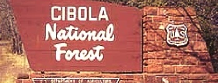 Cibola National Forest is one of A'nın Beğendiği Mekanlar.